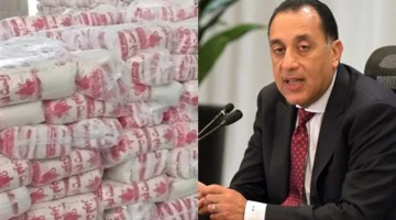 الجريدة الرسمية تقر ضوابط جديدة لتصدير السكر والأسمدة لمدة ثلاثة أشهر